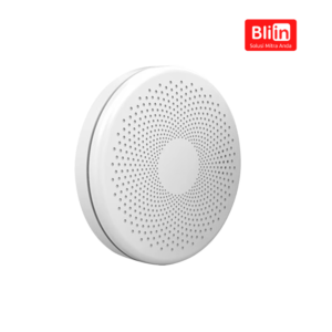 Smart WiFi Combination Smoke and CO Alarm