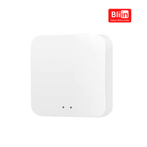 Smart Bluetooth Gateway