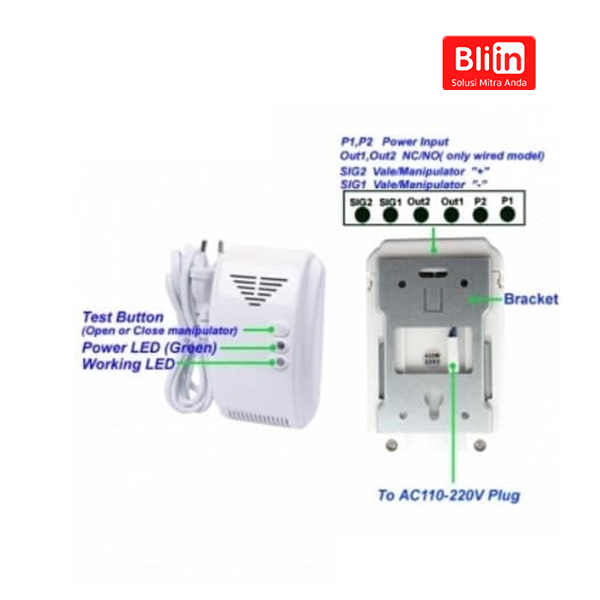 Wireless Gas Leakage Detector