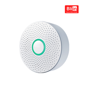 WIFI Smart Gas Detector N1