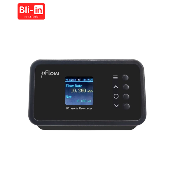 Ultrasonic Flowmeter F3P