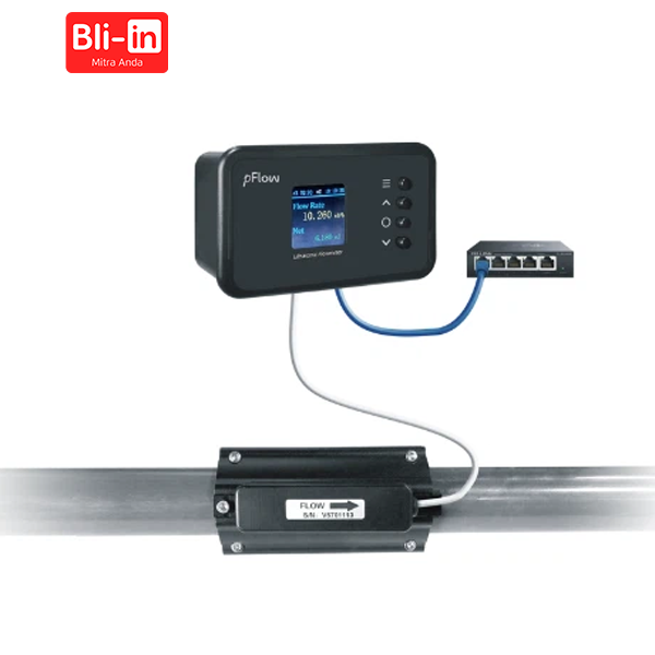 Ultrasonic Flowmeter F3P